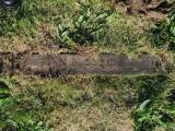 image of grave number 661532